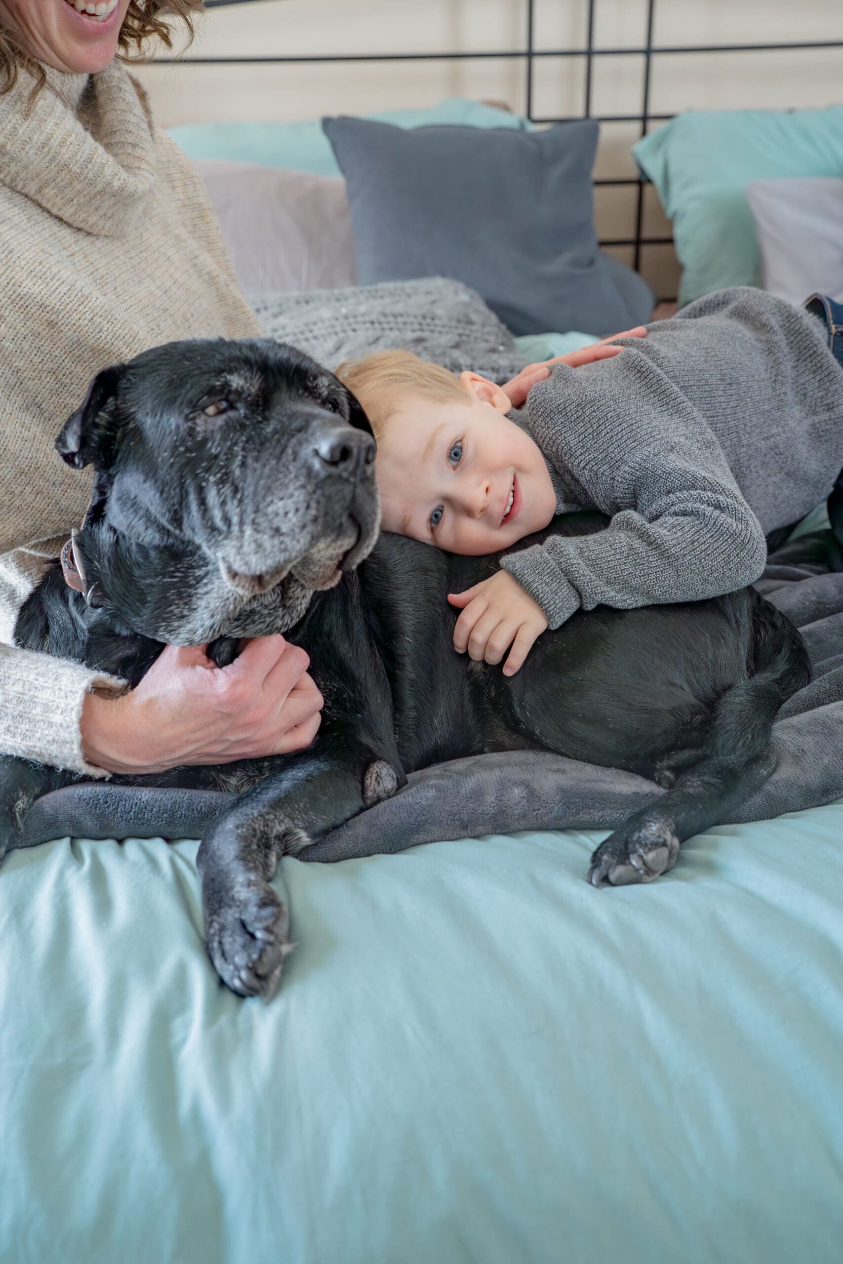 Lifestyle newborn session with toddler hugging family dog — captured by Alliston and Barrie maternity, newborn, and family photographer.