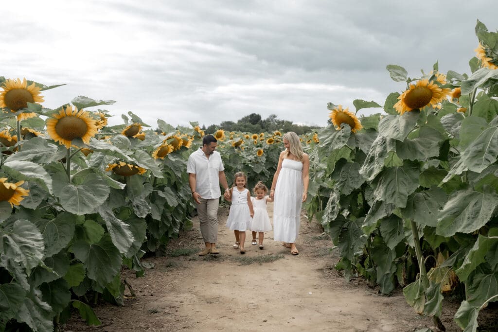 Family walking in sunflower field during family photography session in Innisfil
