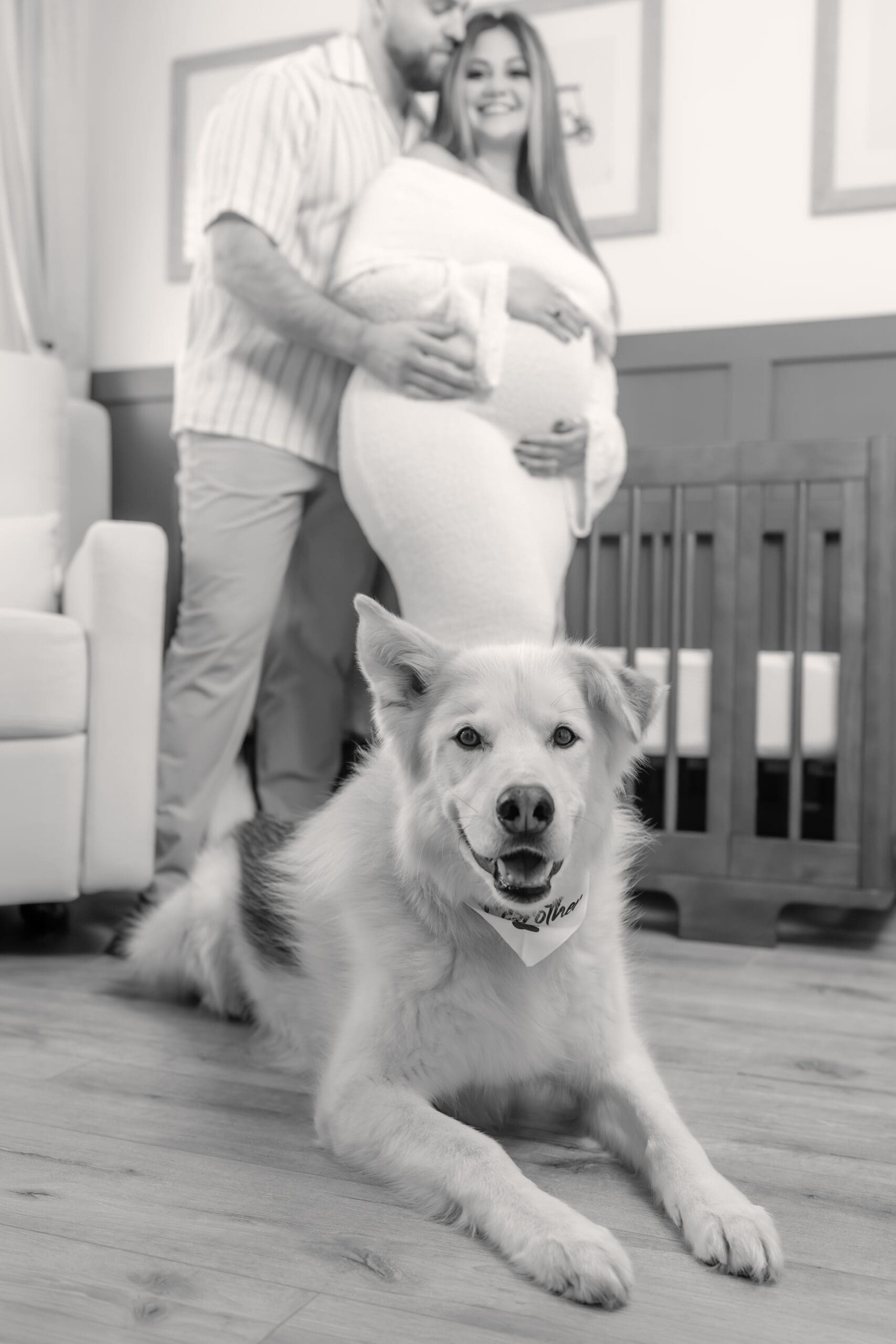 Barrie maternity photographer