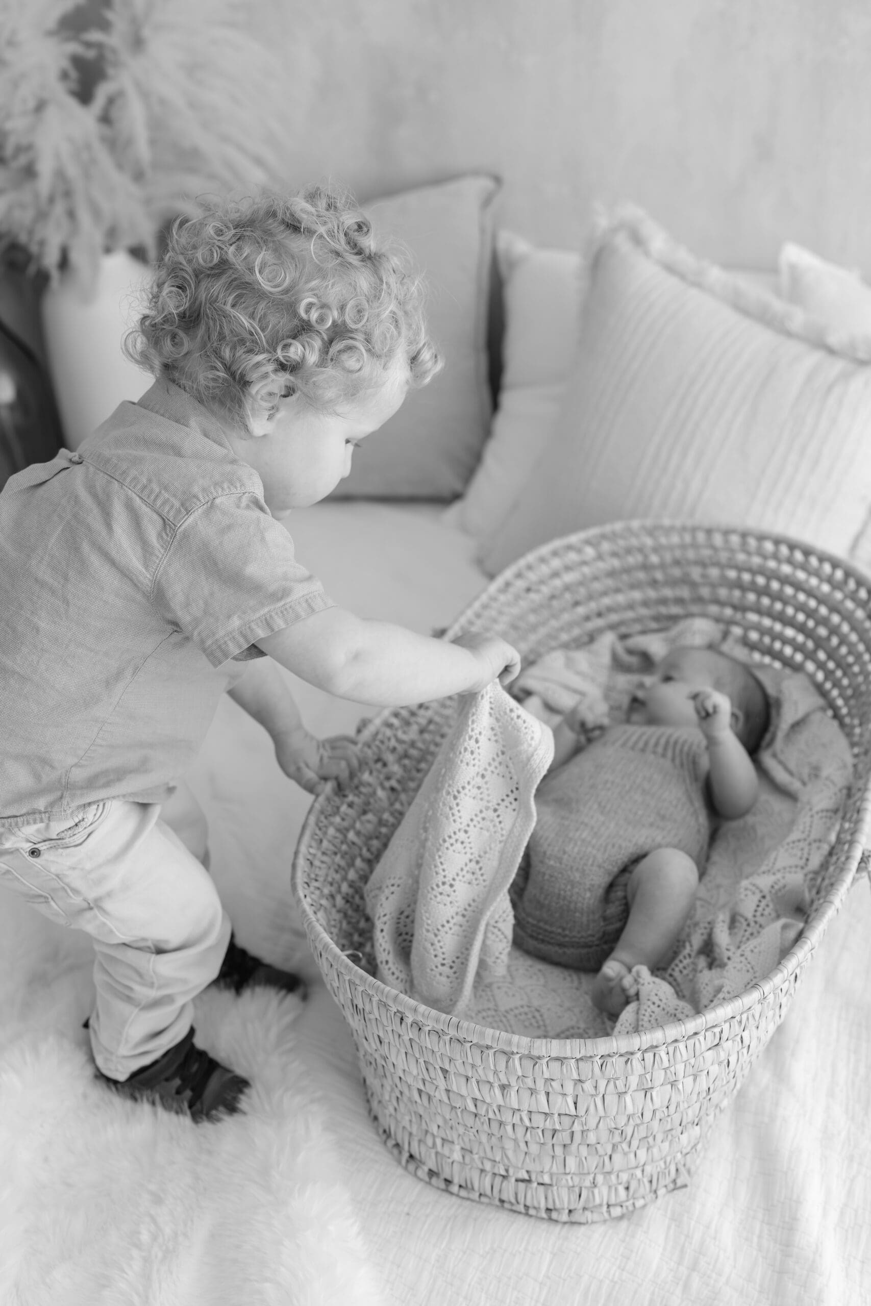 Barrie newborn photographer