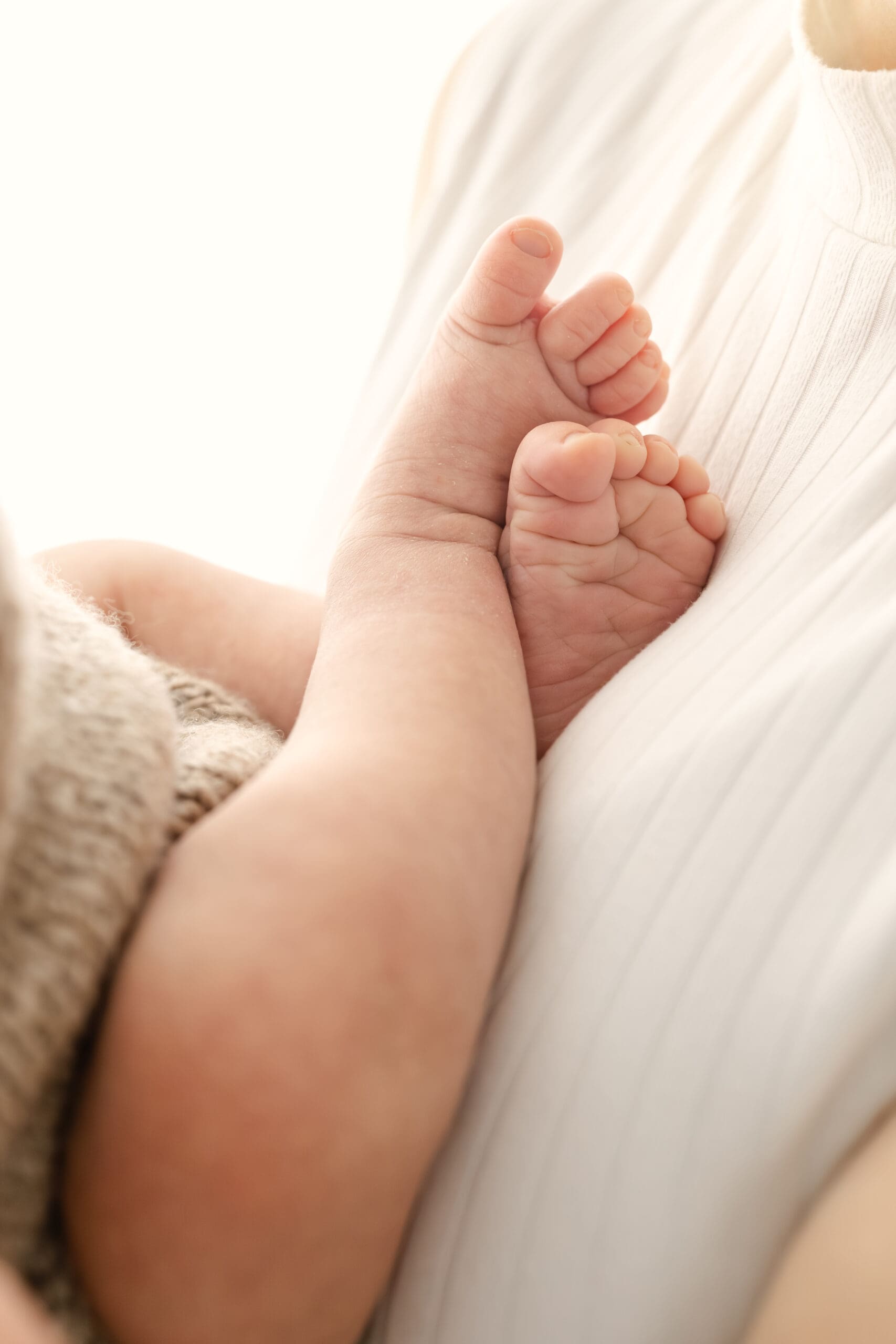 Barrie newborn photographer